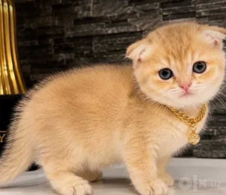 1 000 000 сум