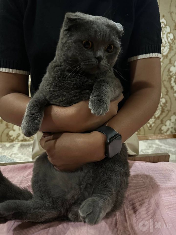 40 USD