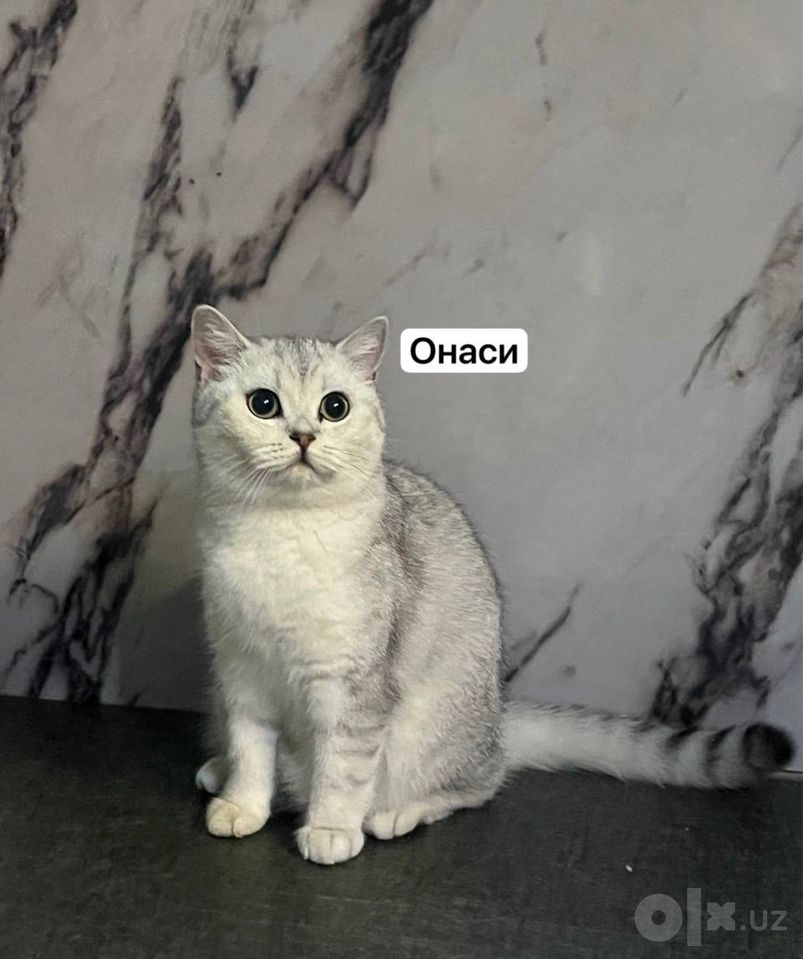 2 500 000 сум