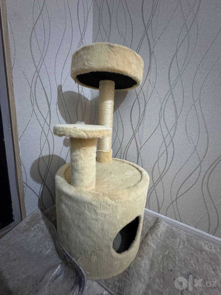 55 USD