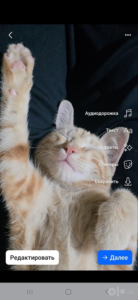 Бесплатно