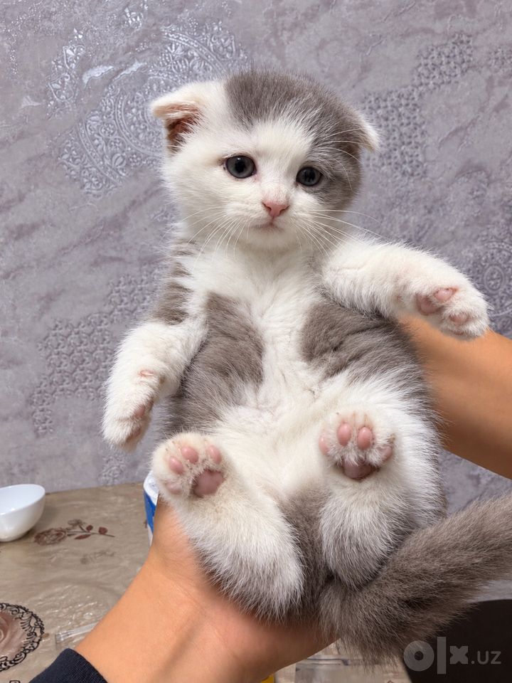 500 000 сум