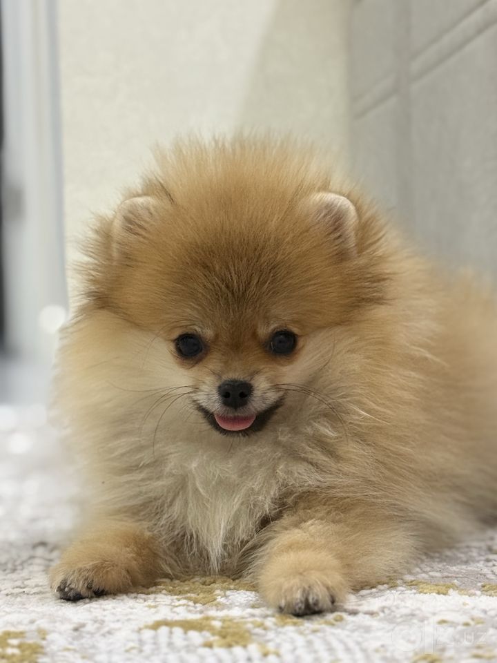 400 USD