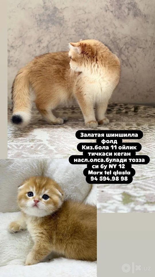 200 USD