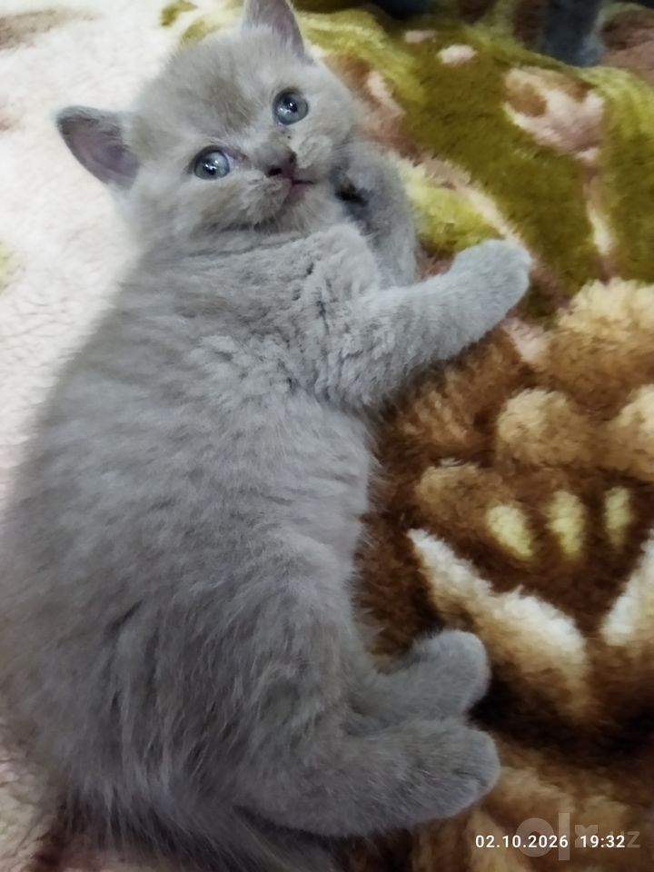 1 100 000 сум