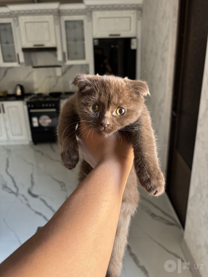 1 000 000 сум