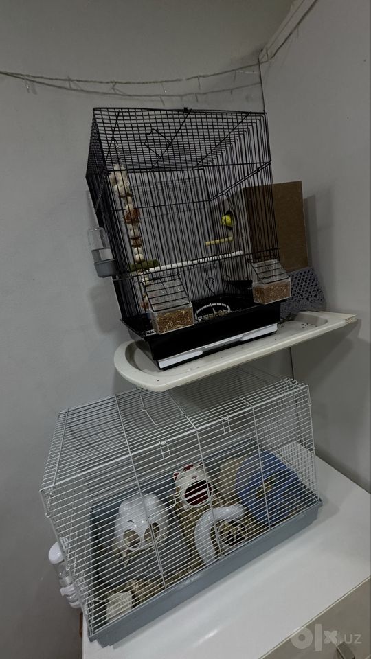35 USD