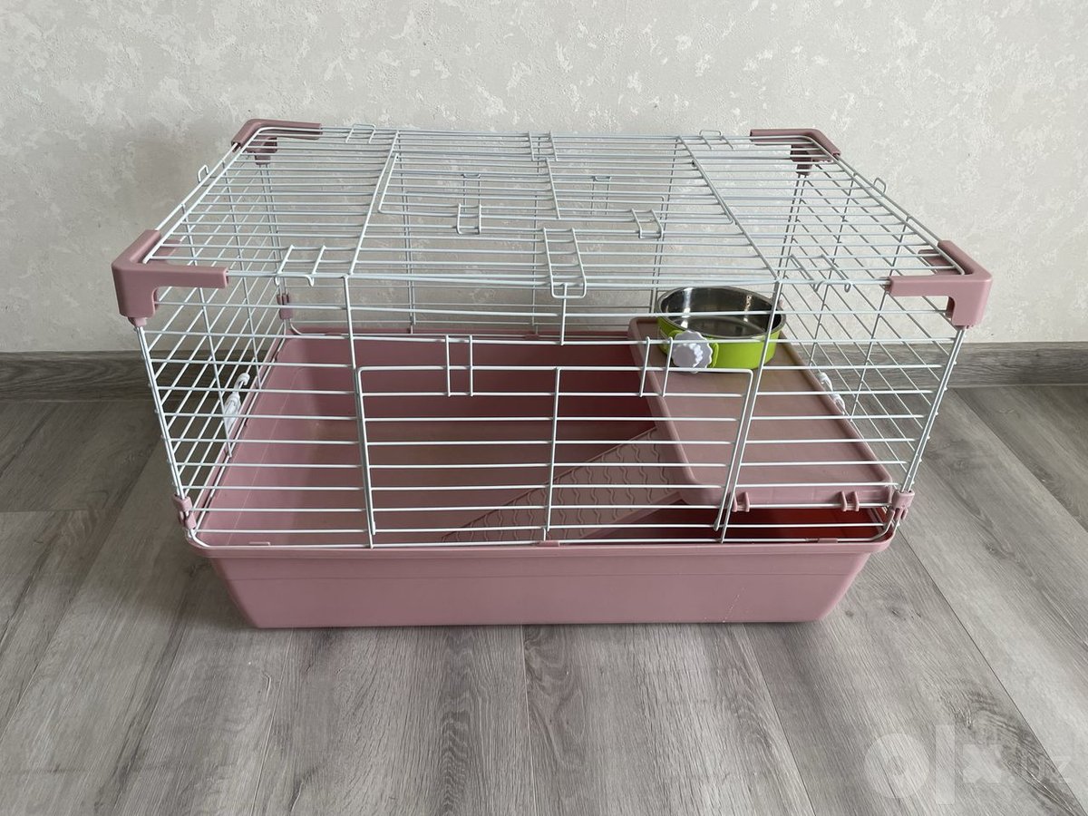 Free