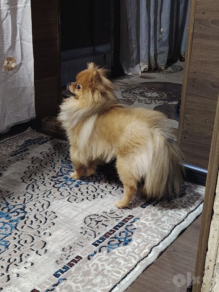 550 USD