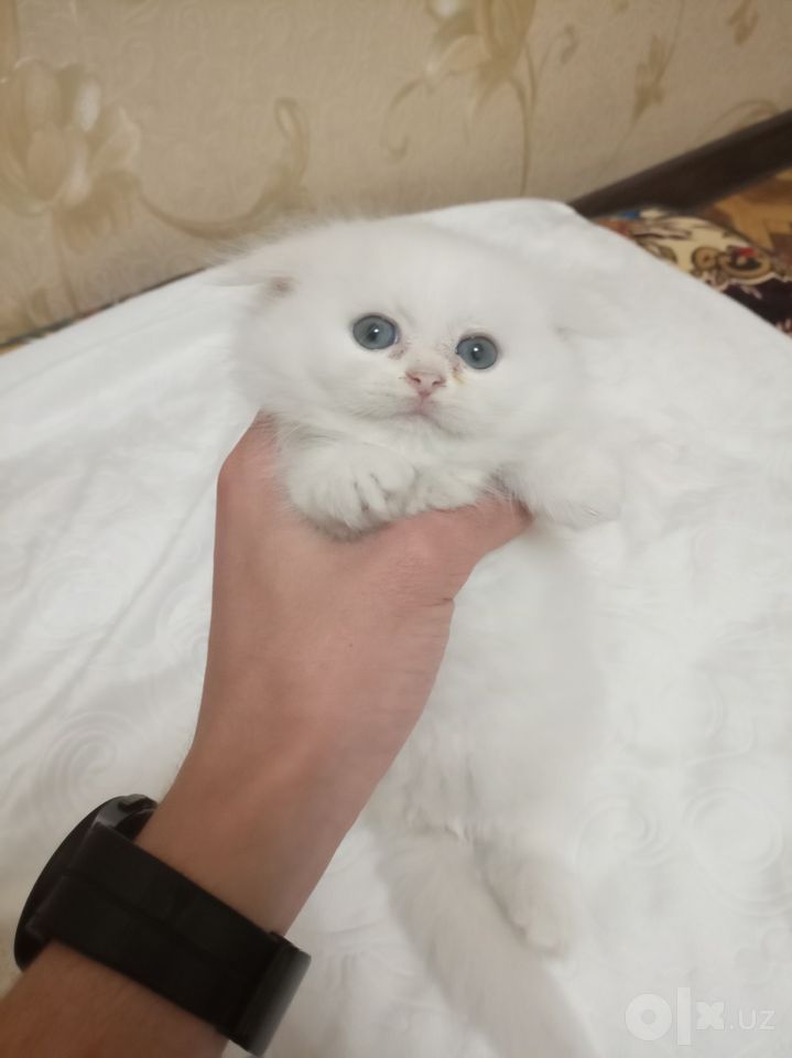 99 USD