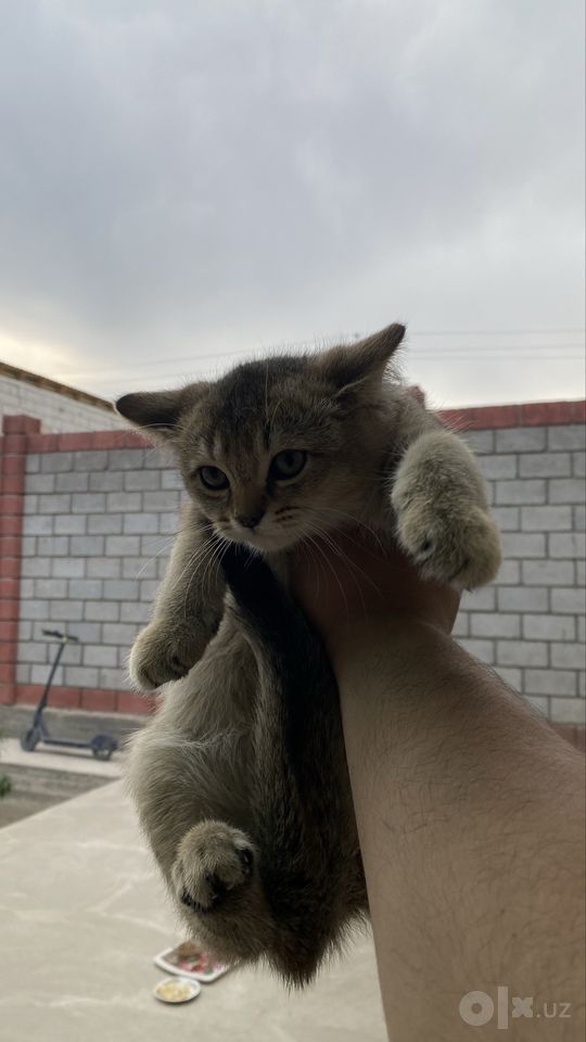 110 USD
