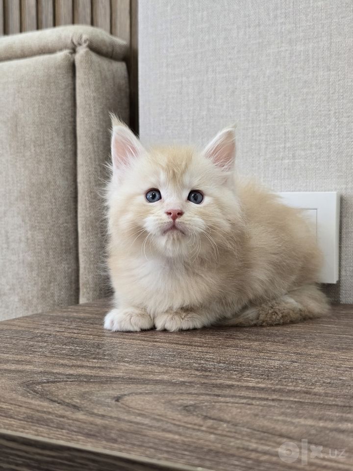 850 USD