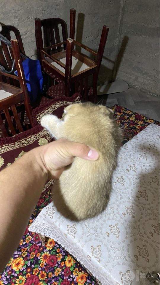 110 USD