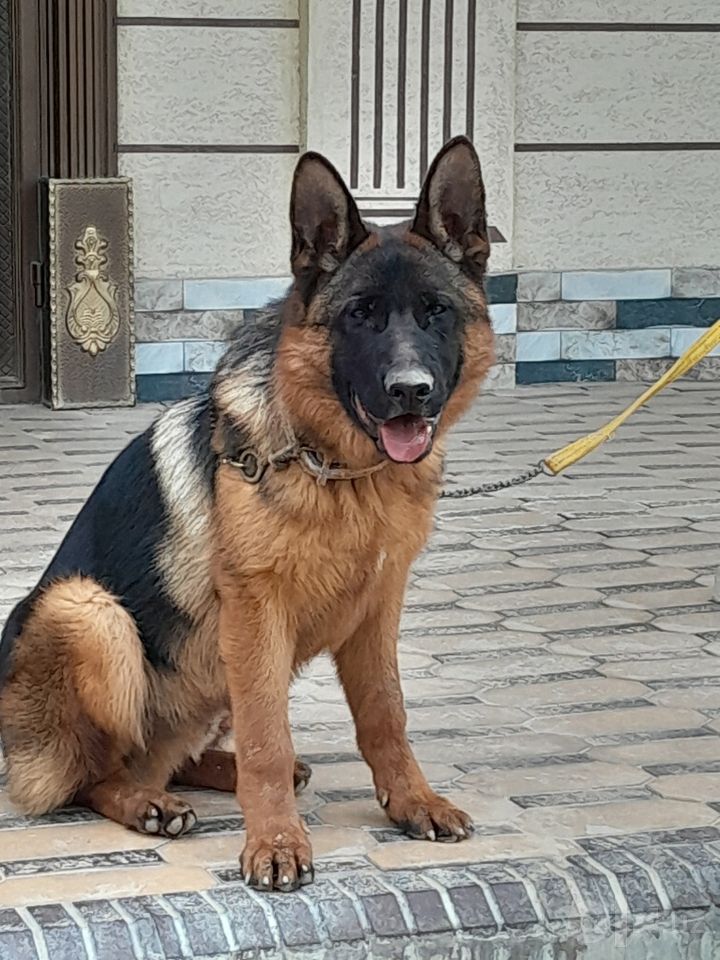 2 500 000 сум