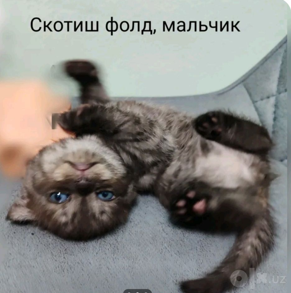300 000 UZS