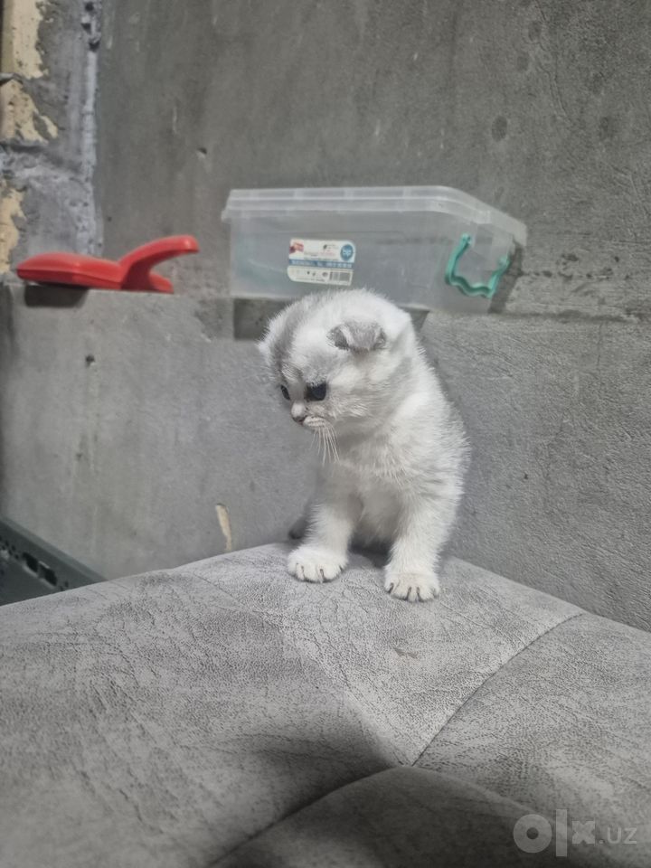 1 200 000 сум