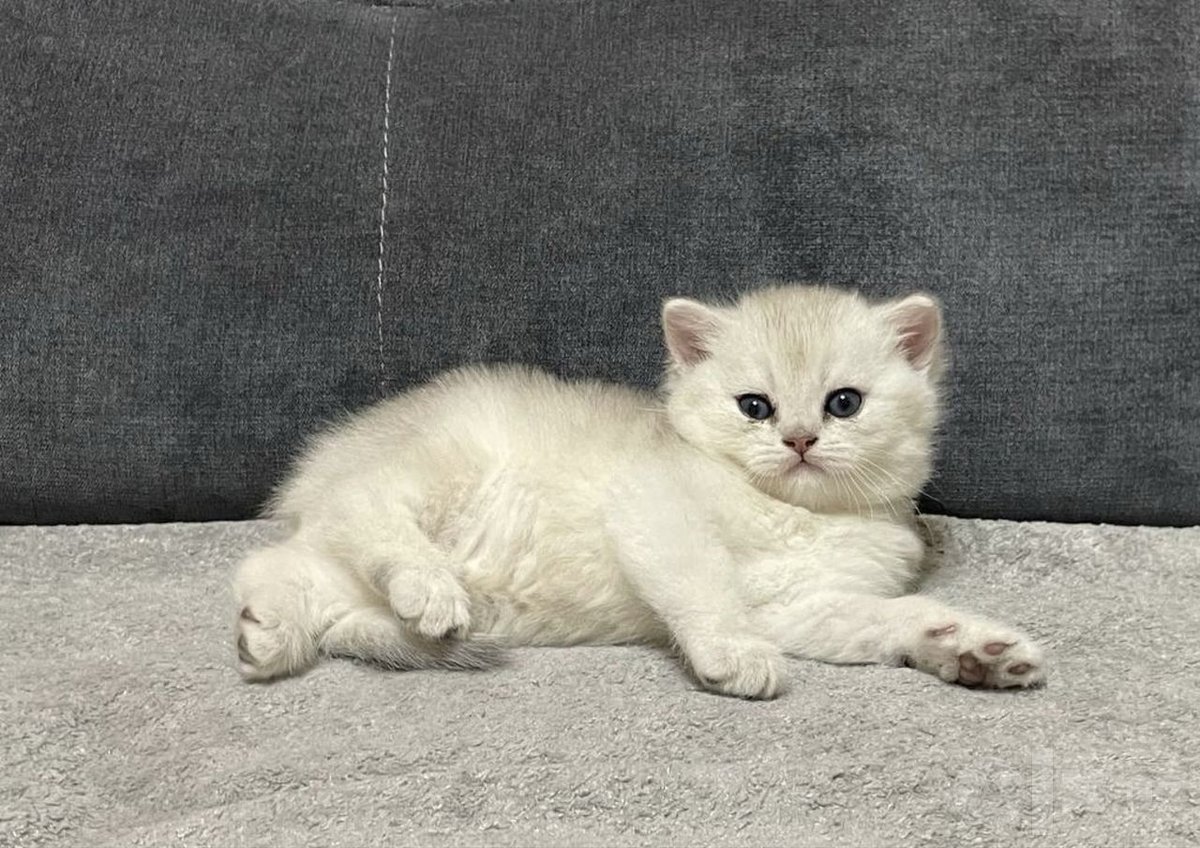 220 USD