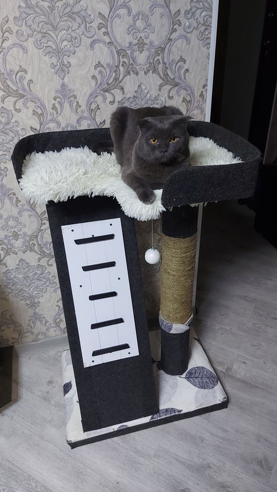 500 000 сум