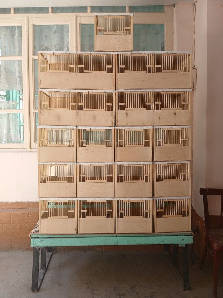 80 000 сум