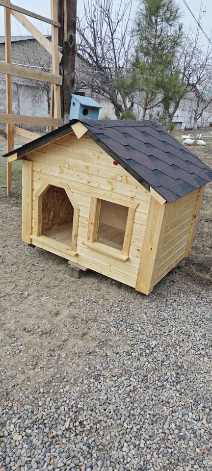 1 200 USD