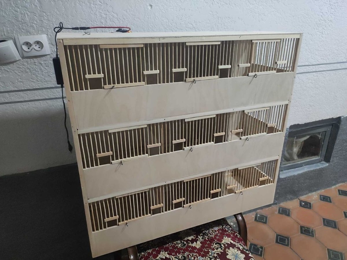 100 USD