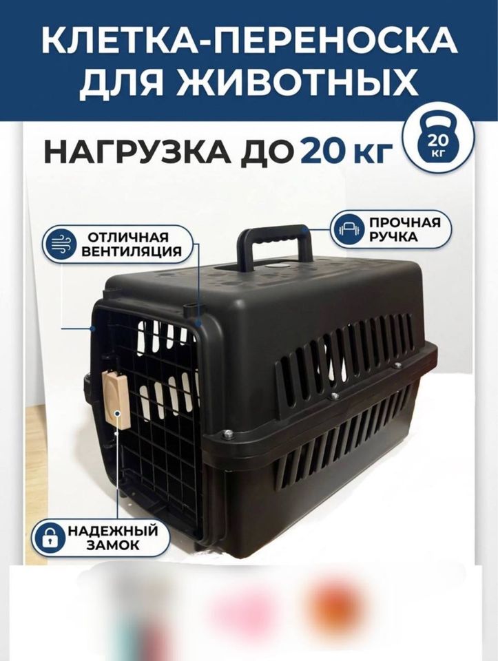 99 000 UZS