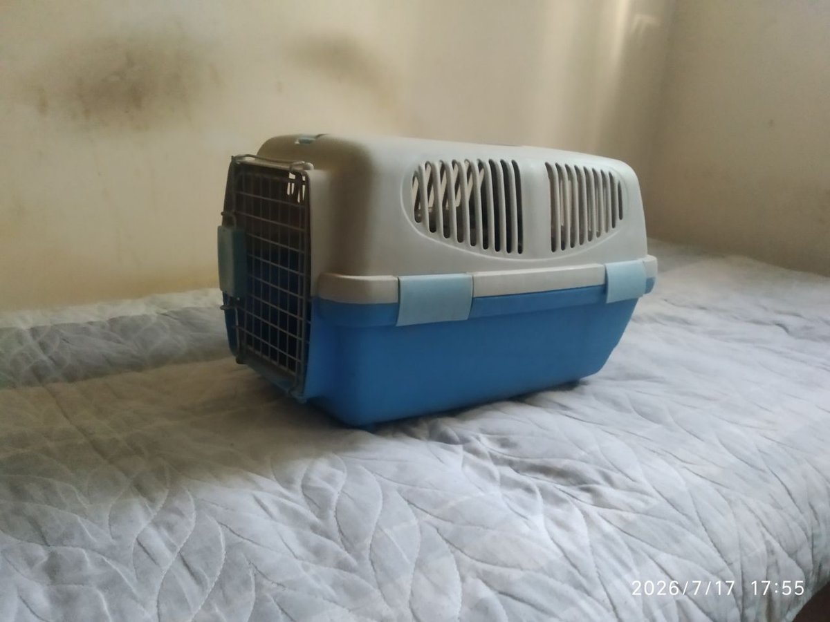 150 000 сум