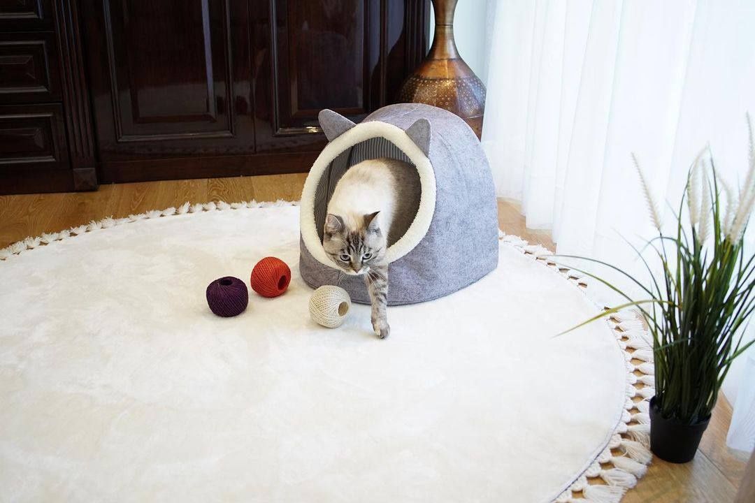 160 000 сум