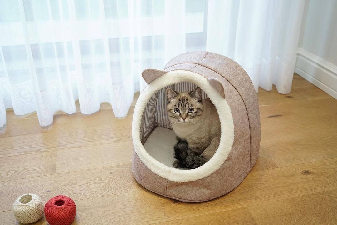 160 000 сум