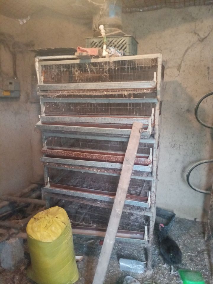 1 200 000 сум