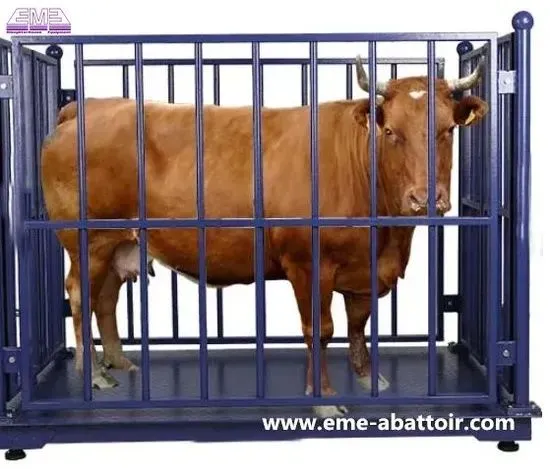 Мол улчаш хизмати - Image 1
