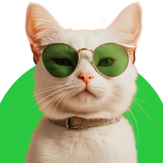 Кошки