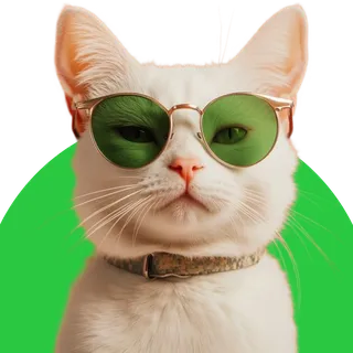 Mushuklar